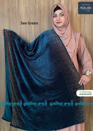 প্রিমিয়াম কোয়ালিটির স্টোন ওয়ার্ক ভেলভেট শাল Jhorna SeaGreen