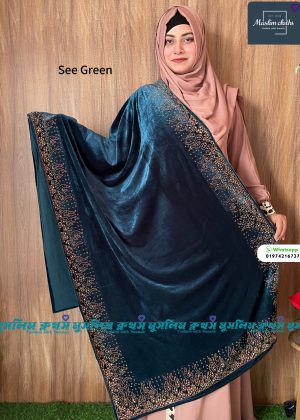 প্রিমিয়াম কোয়ালিটির স্টোন ওয়ার্ক ভেলভেট শাল Agun Sea Green